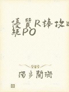 优质R棒攻略系统PO