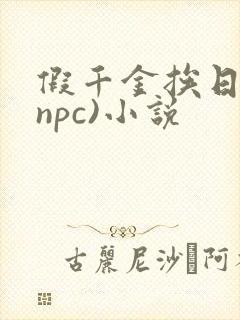 假千金挨日记(npc)小说