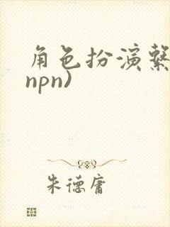 角色扮演系统(npn)