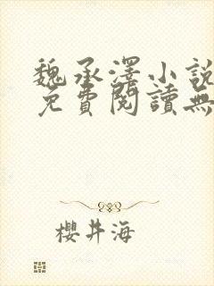 魏承泽小说全文免费阅读无弹窗笔趣