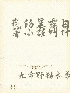 我的暴露日记原著小说叫什么