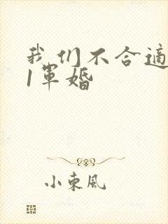 我们不合适1v1军婚