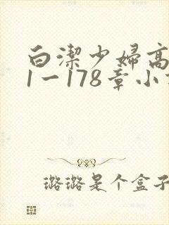 白洁少妇高义第1一178章小说