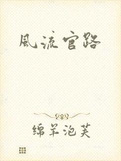 风流官路