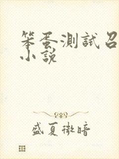 笨蛋测试召唤兽小说