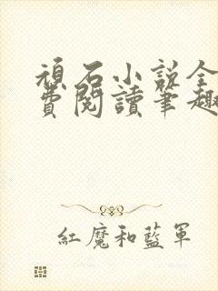 顽石小说全文免费阅读笔趣阁