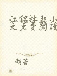 江铭林熙小说全文免费阅读