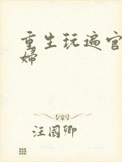 重生玩遍官场贵妇