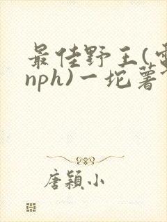 最佳野王(电竞nph)一坨薯饼