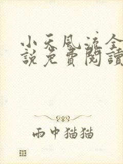 小天风流全集小说免费阅读