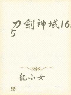 刀剑神域16.5
