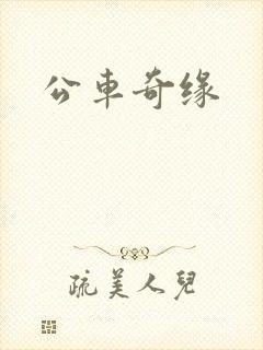 公车奇缘