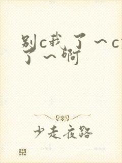 别c我了～c烂了～啊