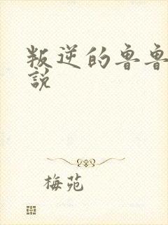 叛逆的鲁鲁修小说