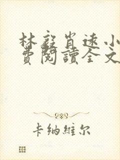 林毅肖远小说免费阅读全文最新章节