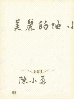 美丽的他 小说