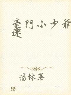 豪门小少爷是财迷