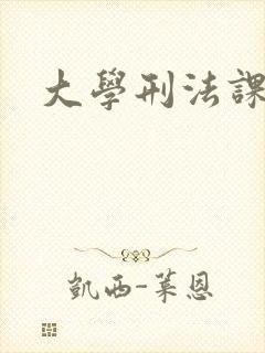大学刑法课