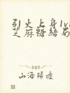 引火上身1v1芝麻糖结局