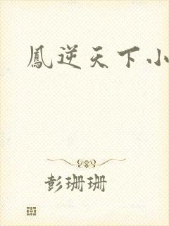 凤逆天下小说