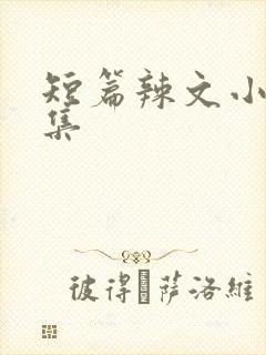 短篇辣文小说合集