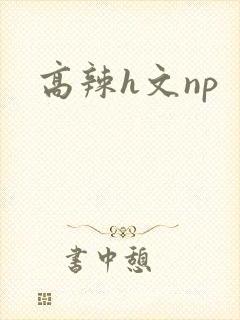 高辣h文np