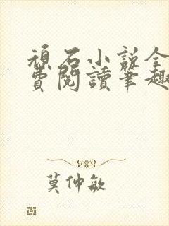 顽石小说全文免费阅读笔趣阁