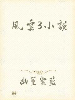 风云3小说