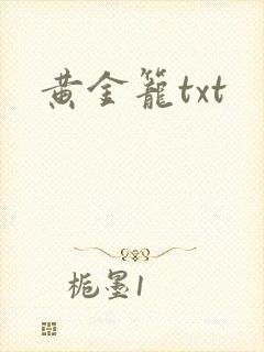 黄金笼txt