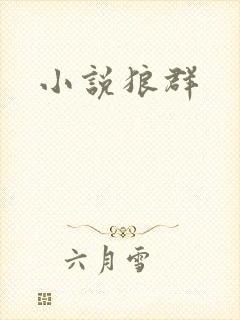 小说狼群