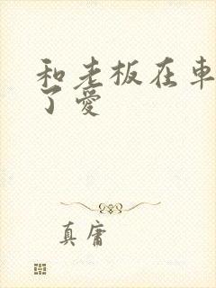 和老板在车里做了爱