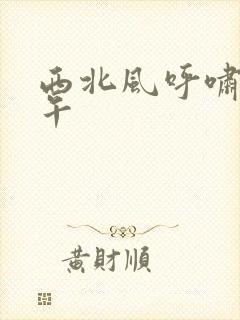 西北风呼啸的中午