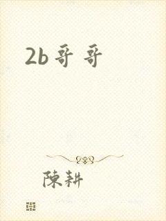 2b哥哥