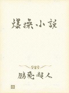 爆操小说