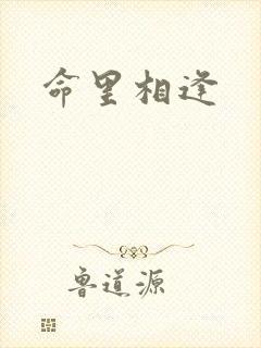 命里相逢