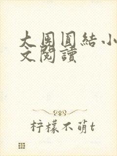 大团圆结小茹全文阅读