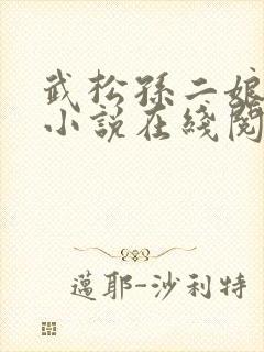 武松孙二娘云雨小说在线阅读