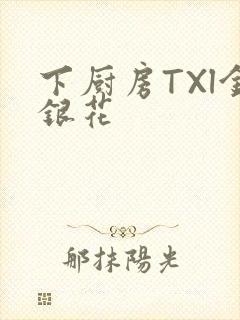 下厨房TXl金银花