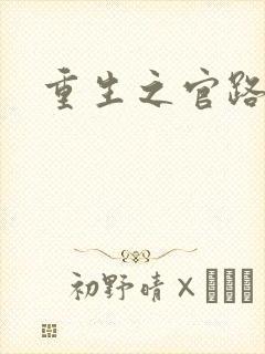 重生之官路风流