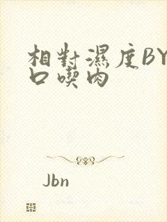 相对湿度BY大口吃肉
