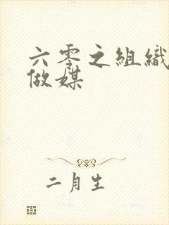 六零之组织给我做媒