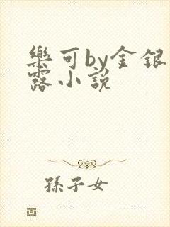 乐可by金银花露小说
