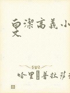 白洁高义小说全文