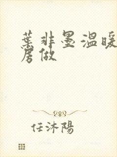 叶非墨温暖在厨房做