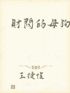 财阀的母狗们