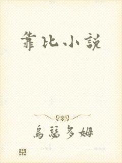 靠比小说
