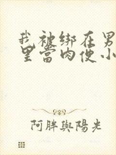 我被绑在男公厕里当肉便小说