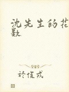 沈先生的花式调数