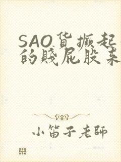 SAO货撅起你的贱屁股来