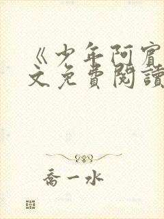 《少年阿宾》全文免费阅读